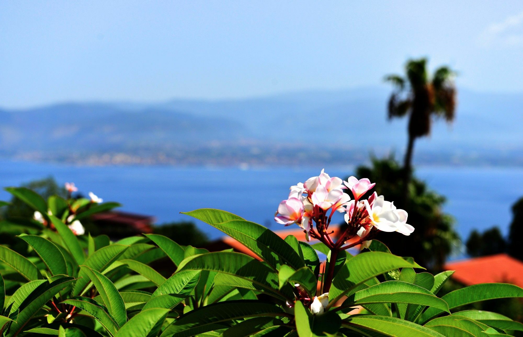 Villa Scilla E Cariddi Messina Exterior photo